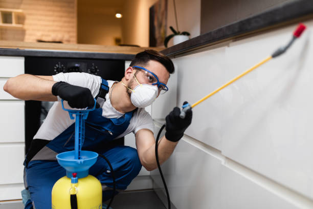Best Best Pest Control Companies  in Wailea, HI
