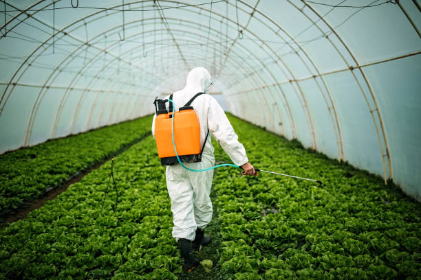 Best Commercial Pest Control Services  in Wailea, HI