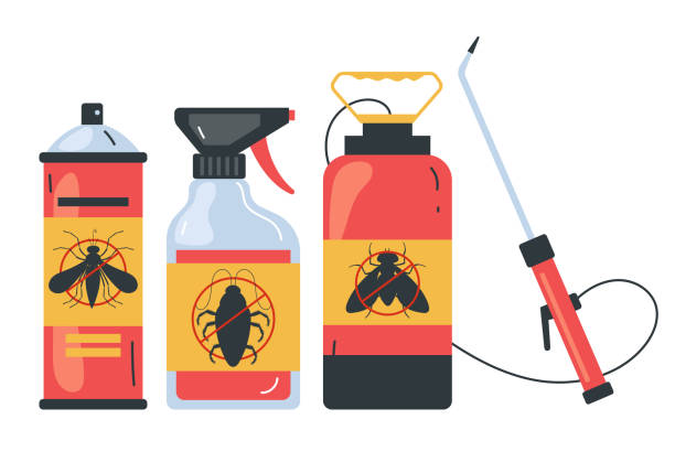 Trusted Wailea, HI Pest Control Experts